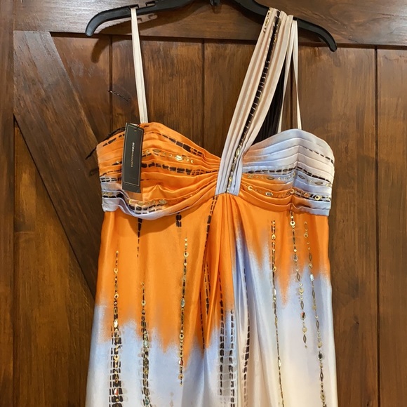 BCBG DipDye Ombre Nectaricom Dress Sz10 - Picture 2 of 5